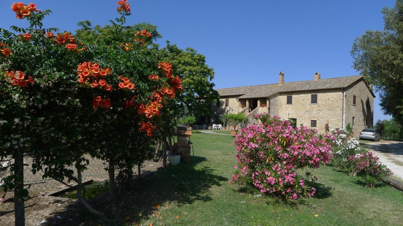 אמליה Agriturismo Podere Luchiano מראה חיצוני תמונה