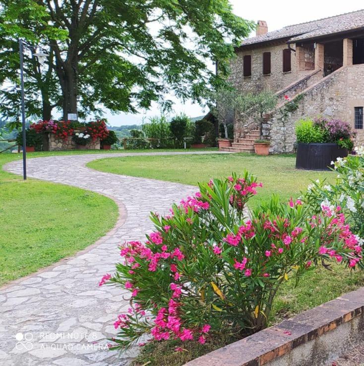 אמליה Agriturismo Podere Luchiano מראה חיצוני תמונה