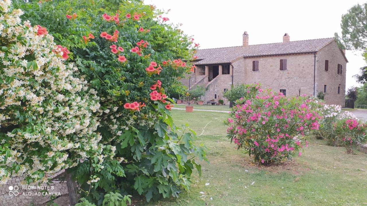 אמליה Agriturismo Podere Luchiano מראה חיצוני תמונה