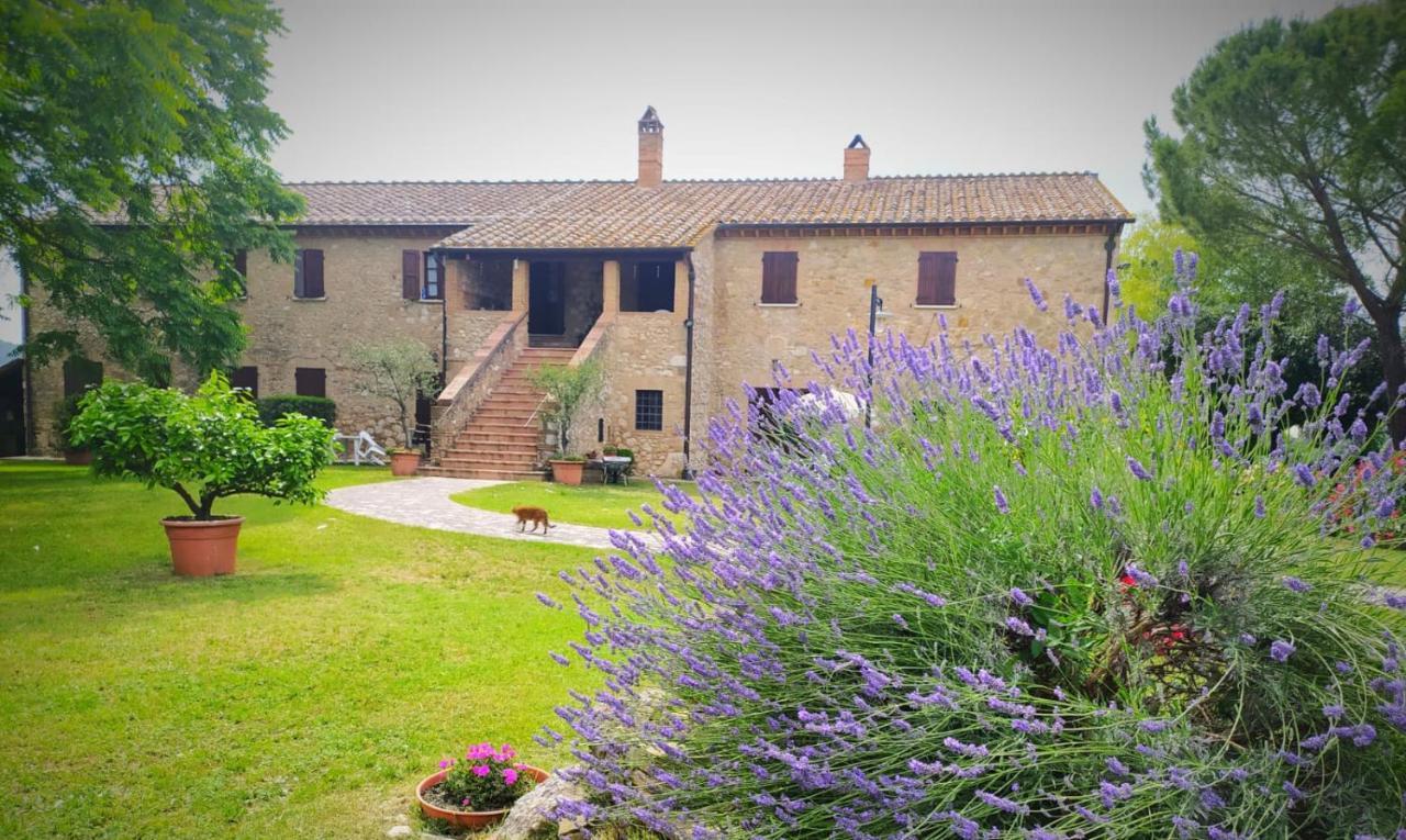 אמליה Agriturismo Podere Luchiano מראה חיצוני תמונה