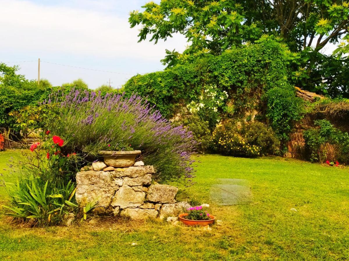 אמליה Agriturismo Podere Luchiano מראה חיצוני תמונה