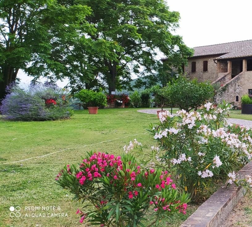 אמליה Agriturismo Podere Luchiano מראה חיצוני תמונה