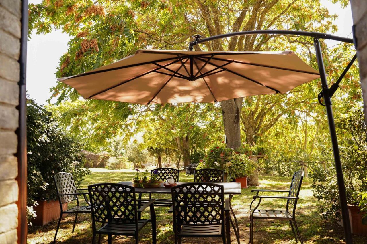 אמליה Agriturismo Podere Luchiano מראה חיצוני תמונה