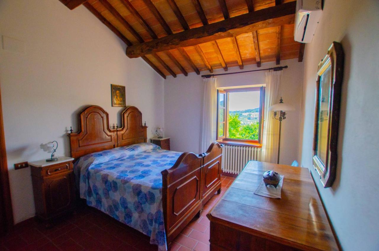 אמליה Agriturismo Podere Luchiano מראה חיצוני תמונה