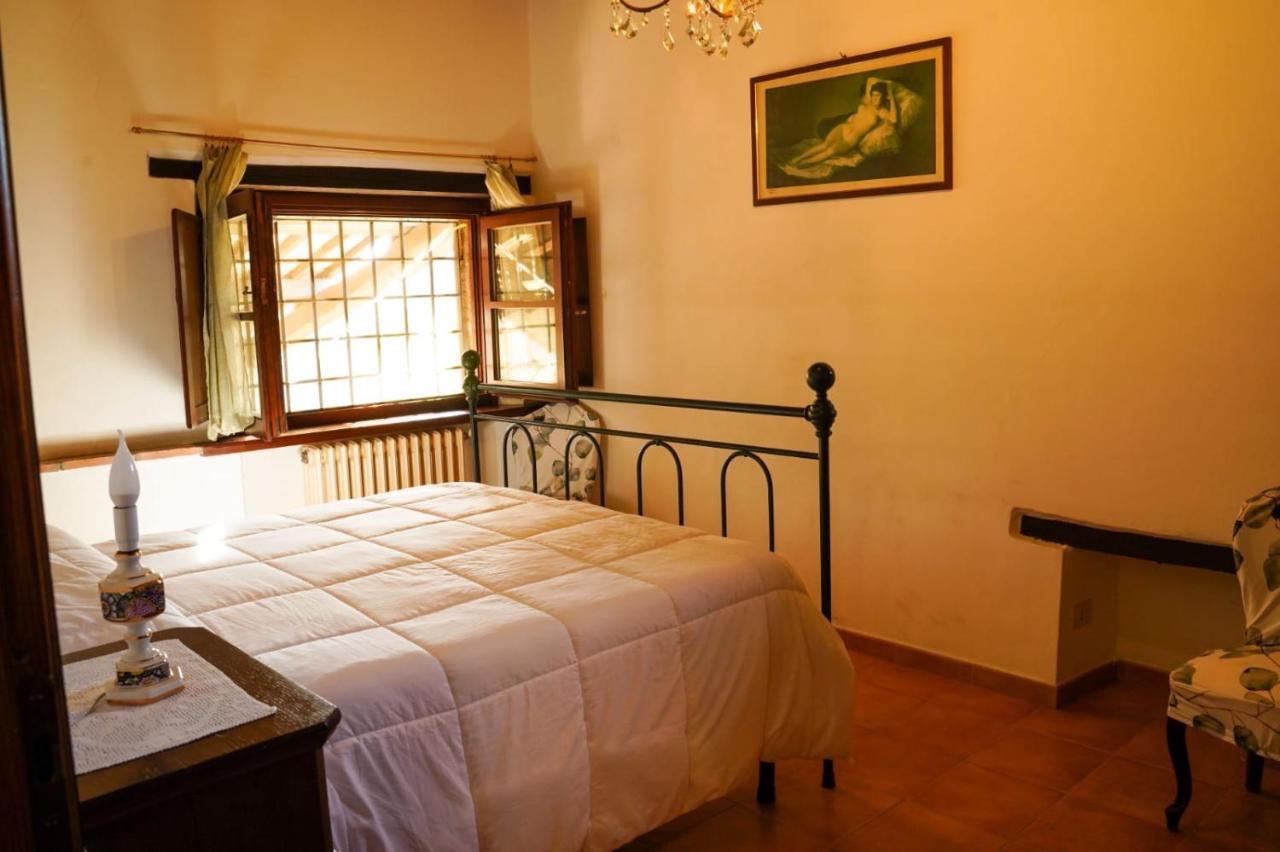 אמליה Agriturismo Podere Luchiano מראה חיצוני תמונה