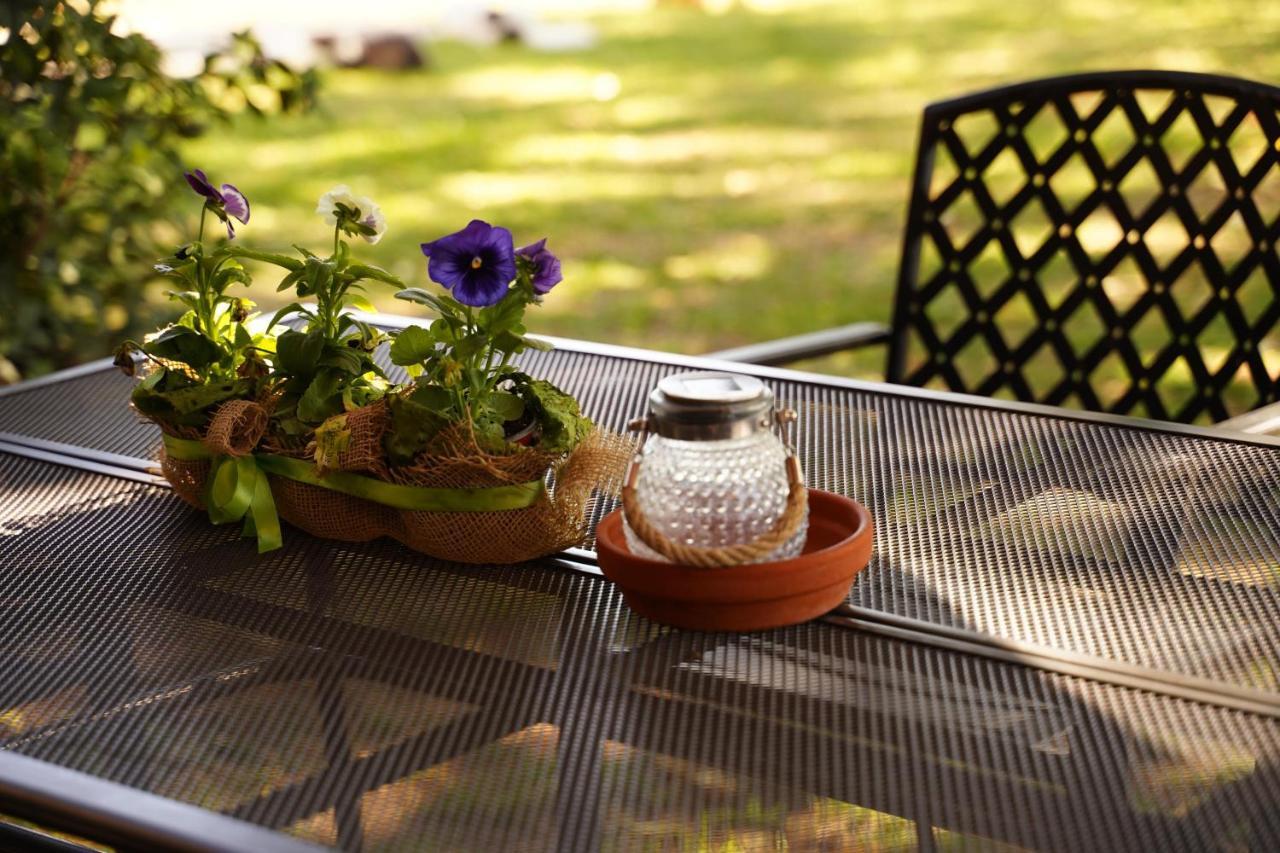 אמליה Agriturismo Podere Luchiano מראה חיצוני תמונה