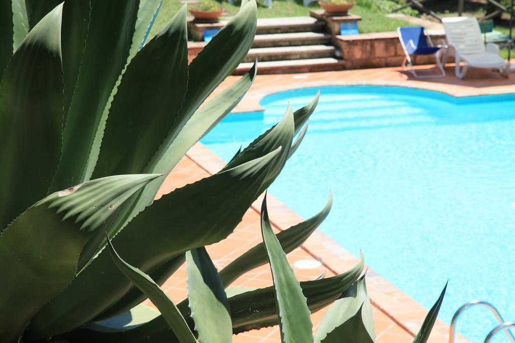 אמליה Agriturismo Podere Luchiano מראה חיצוני תמונה