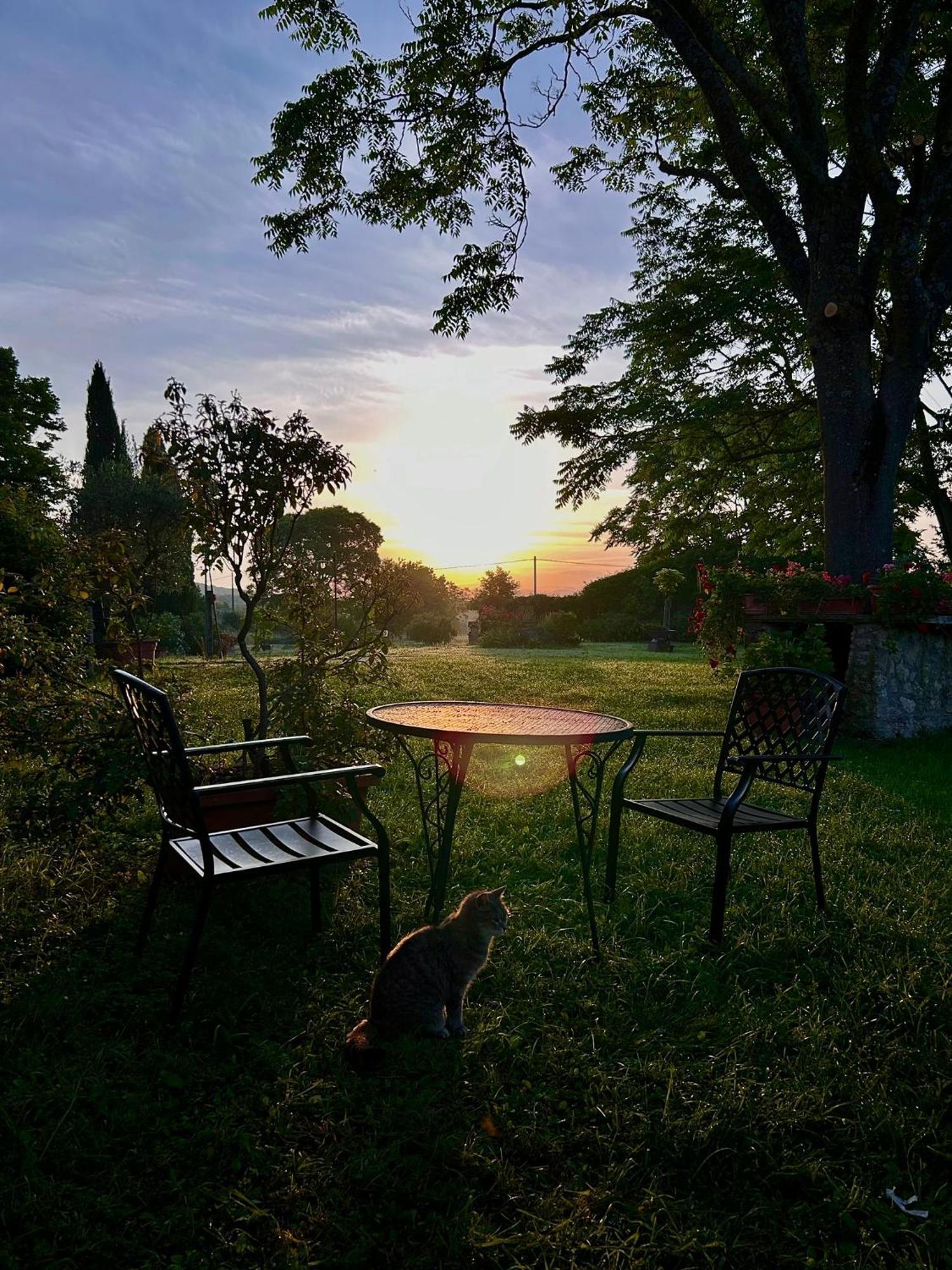 אמליה Agriturismo Podere Luchiano מראה חיצוני תמונה