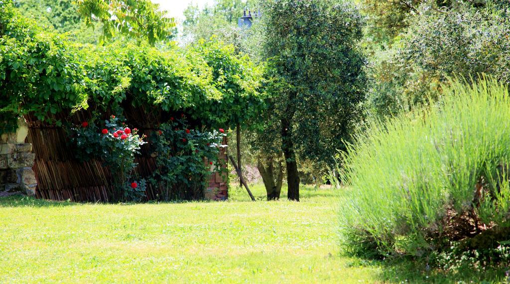 אמליה Agriturismo Podere Luchiano מראה חיצוני תמונה