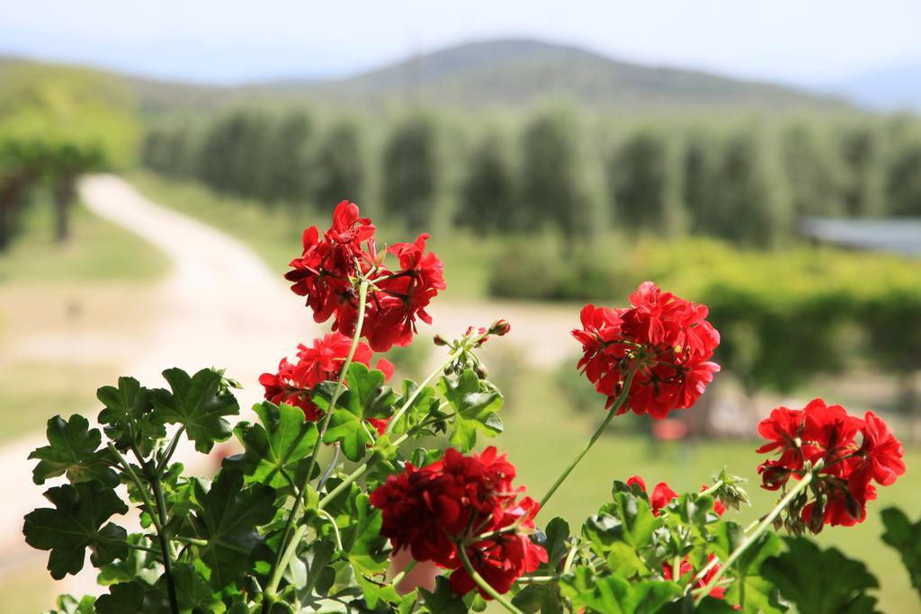 אמליה Agriturismo Podere Luchiano מראה חיצוני תמונה