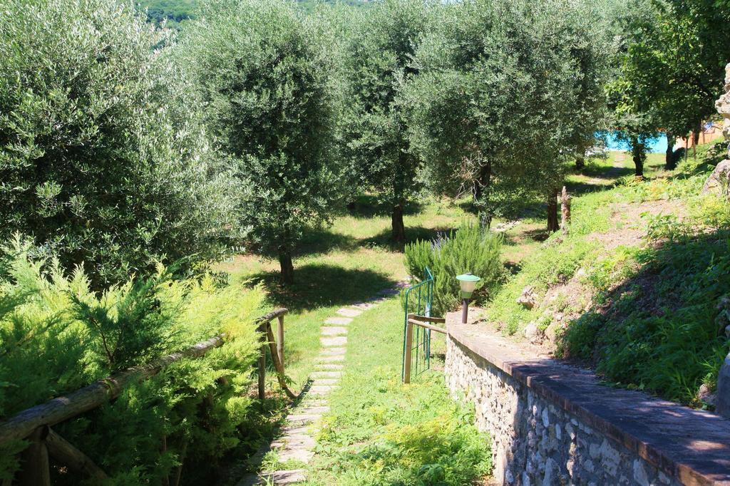 אמליה Agriturismo Podere Luchiano מראה חיצוני תמונה