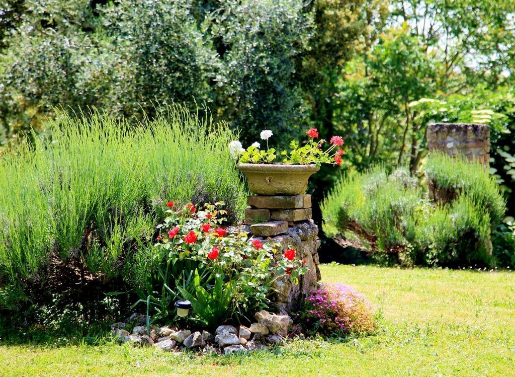 אמליה Agriturismo Podere Luchiano מראה חיצוני תמונה