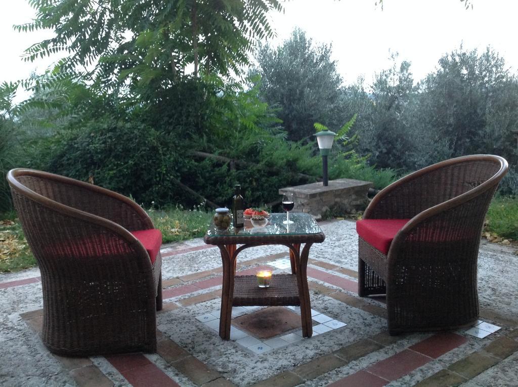 אמליה Agriturismo Podere Luchiano מראה חיצוני תמונה