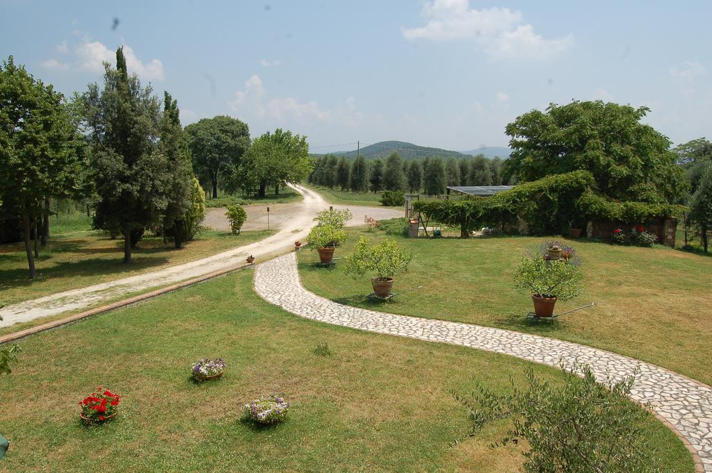 אמליה Agriturismo Podere Luchiano מראה חיצוני תמונה