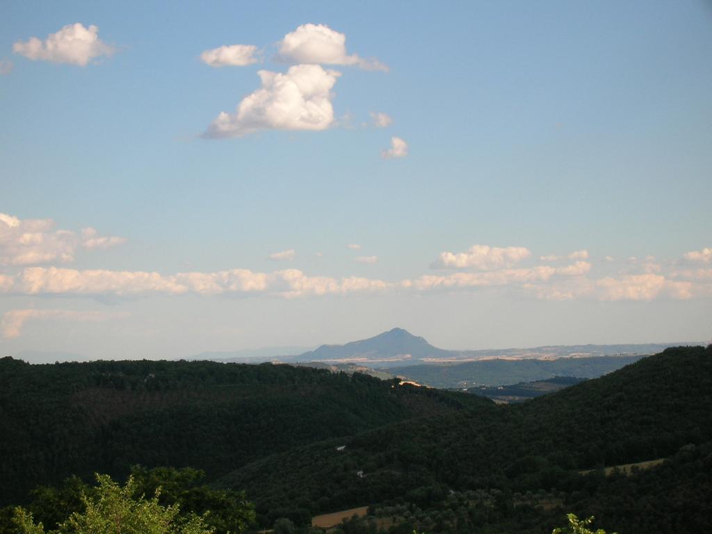 אמליה Agriturismo Podere Luchiano מראה חיצוני תמונה