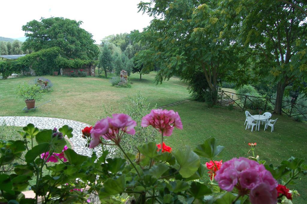 אמליה Agriturismo Podere Luchiano מראה חיצוני תמונה