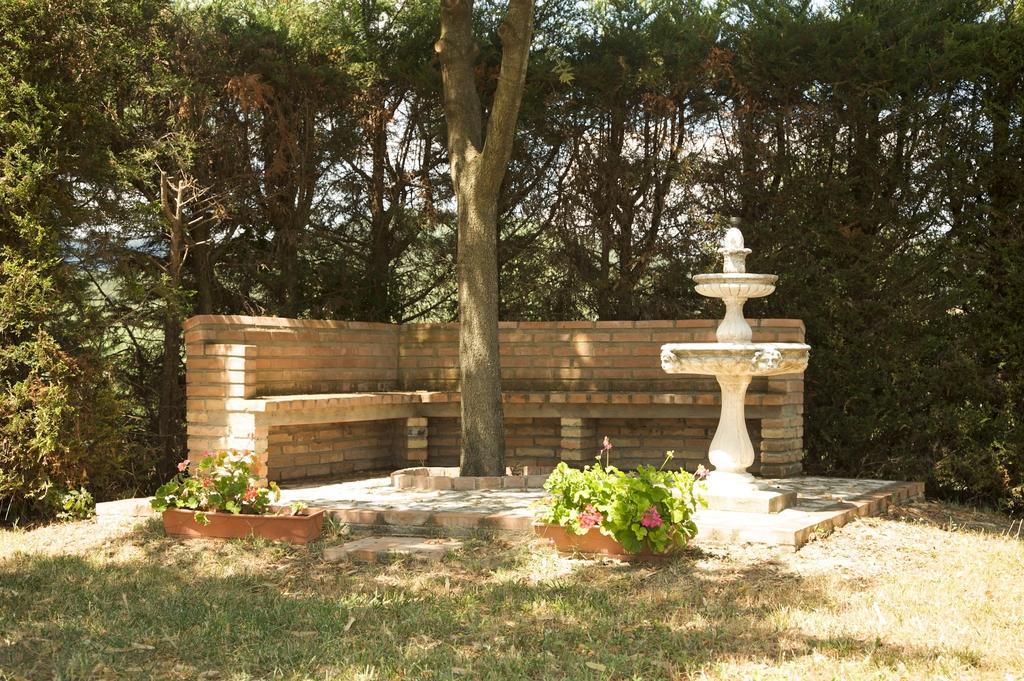 אמליה Agriturismo Podere Luchiano מראה חיצוני תמונה