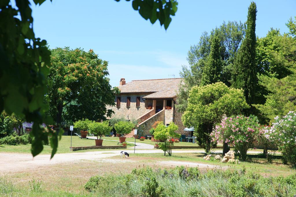 אמליה Agriturismo Podere Luchiano מראה חיצוני תמונה