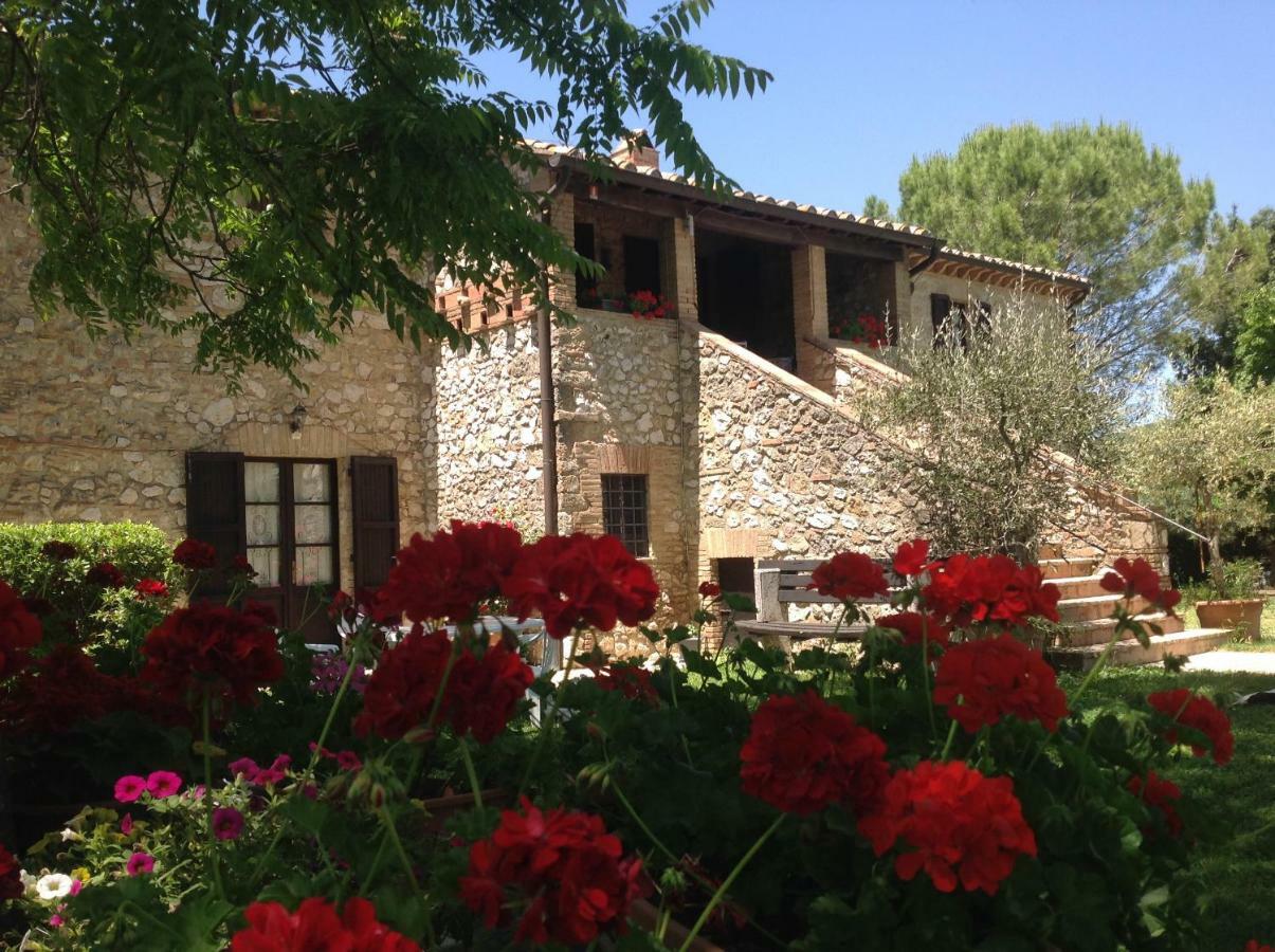 אמליה Agriturismo Podere Luchiano מראה חיצוני תמונה