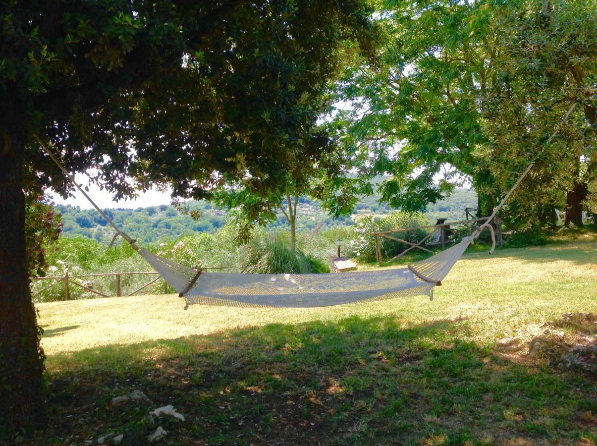 אמליה Agriturismo Podere Luchiano מראה חיצוני תמונה